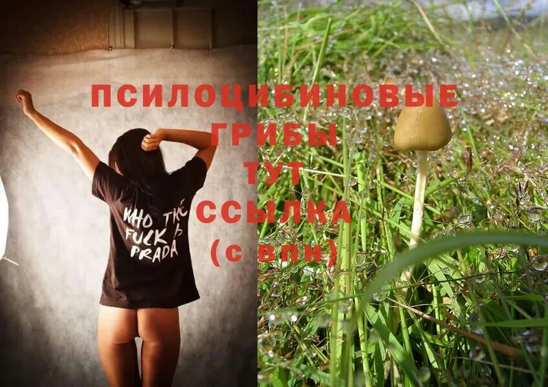 ОМГ ОМГ ССЫЛКА  Мирный  Галлюциногенные грибы MAGIC MUSHROOMS 